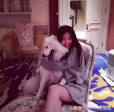 乔欣是现实版曲筱绡住豪宅白富美么 乔欣是现实版曲筱绡住豪宅白富美么