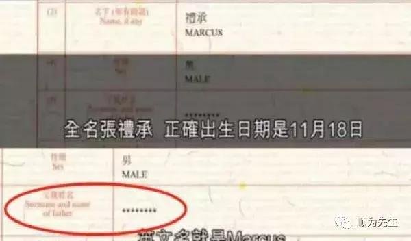 张柏芝第三胎儿子张礼承