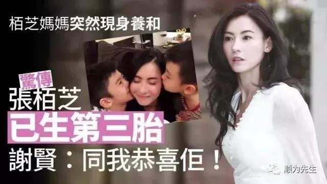 张柏芝第三胎儿子张礼承